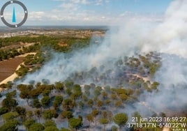 Incendio en Huelva: El Infoca estabiliza el fuego originado en el paraje El Corchito de Bonares