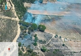 Efectivos del Infoca sofocan un incendio forestal en un paraje de Huelva