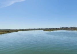 Fallece ahogado un hombre de 23 años cuando se bañaba en el río Tinto a su paso por San Juan del Puerto