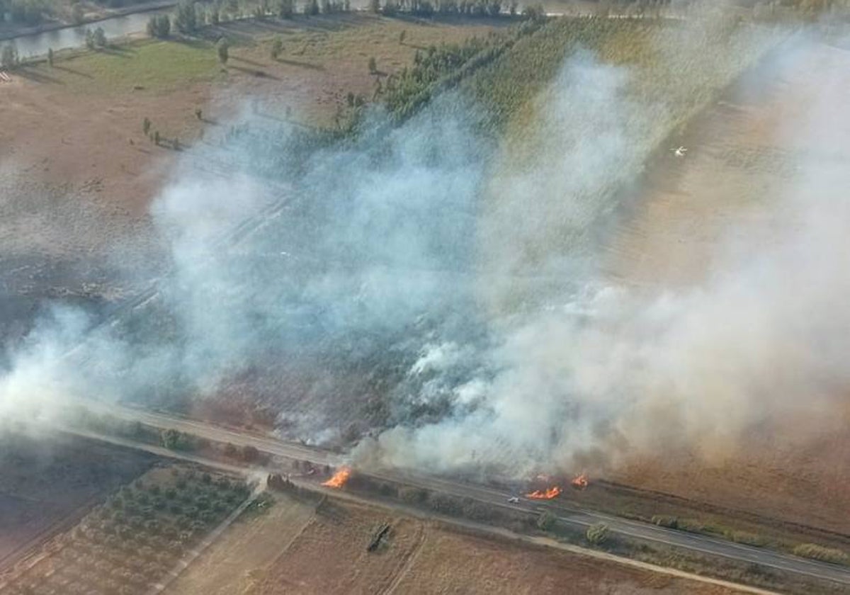 Incendio en el paraje Balufo de Moguer