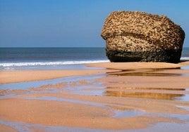 Muere una mujer ahogada en la playa de Matalascañas
