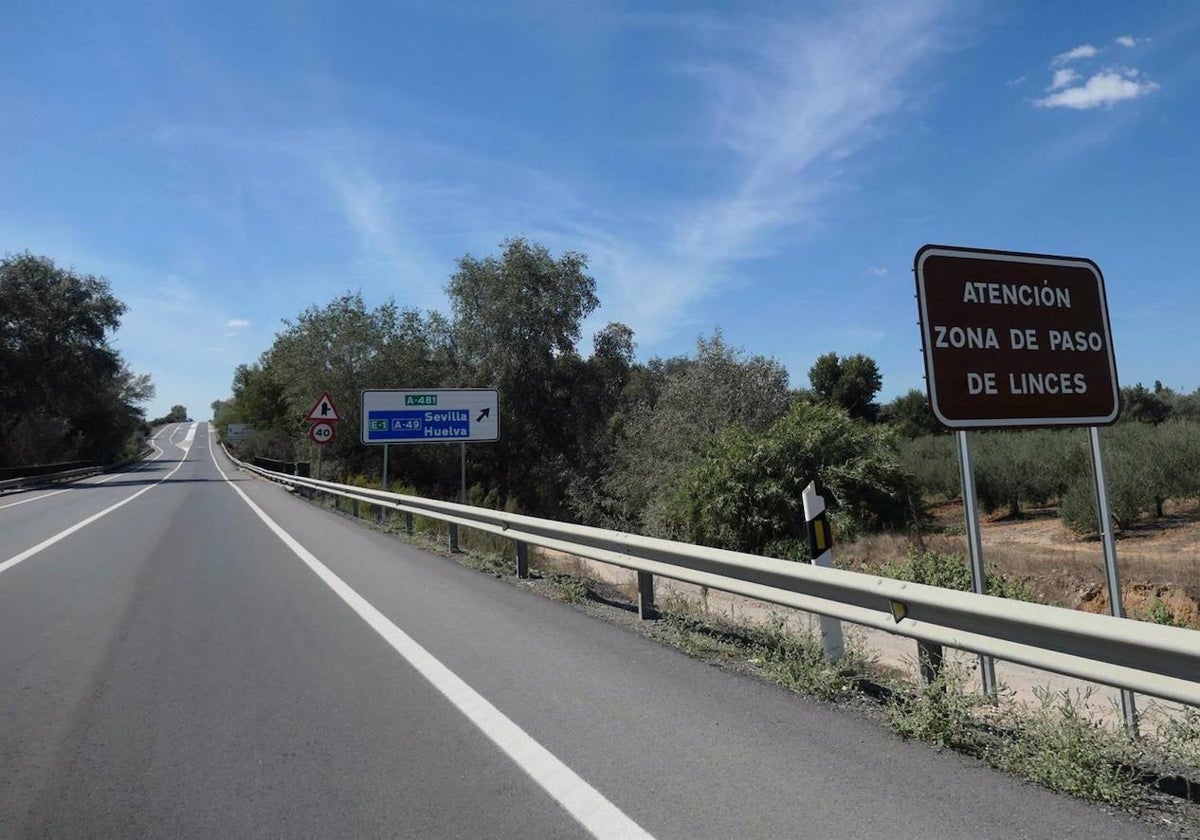 Carretera a Matalascañas, en la que ha aparecido una lince muerta