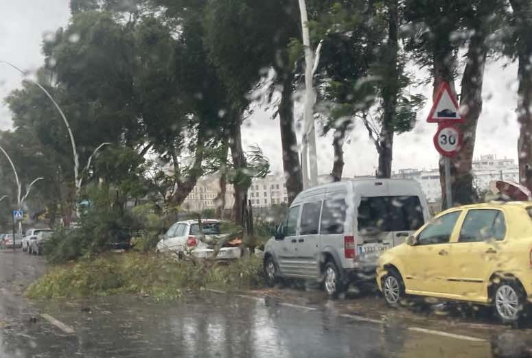 Los estragos de &#039;Bernard&#039; en Huelva