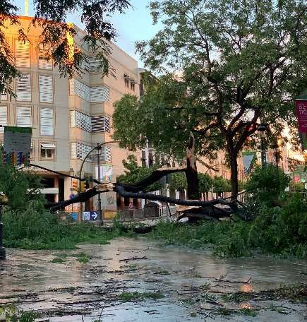 La plaza Quintero Báez, La Palmera