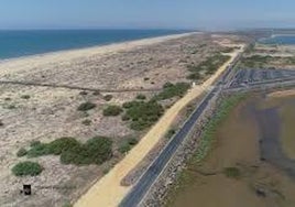 Aparece flotando en el agua junto a la carretera del Espigón de Huelva el cadáver de una mujer de unos 50 años