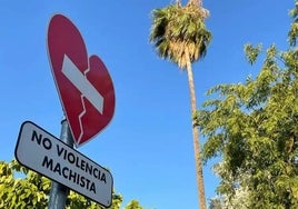 Imponen dos años de alejamiento y trabajos comunitarios al detenido por golpear a su pareja en Almonte