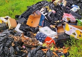 Fuerte multa económica a un camionero por arrojar basura en las inmediaciones del Hospital Virgen de la Bella de Lepe