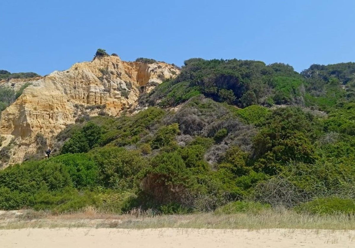 Médano del paraje del Arenosillo desde el que cayó la persona rescatada