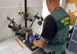 Dos detenidos por transportar hachís y cocaína en el autobús de Ayamonte a Isla Cristina