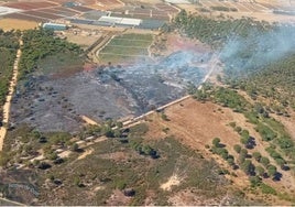 Estabilizado un incendio forestal que se había declarado en Moguer