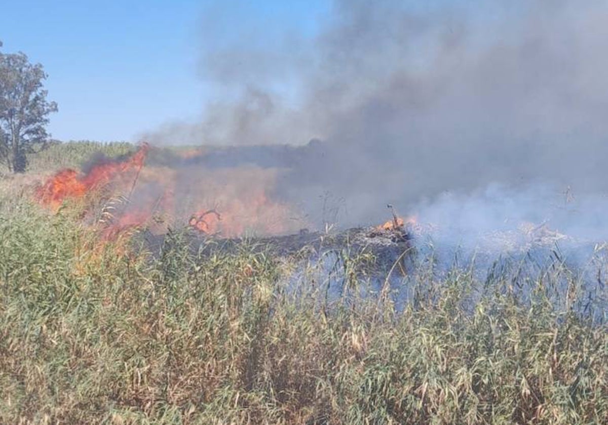 Imagen del incendio declarado este martes en un paraje de Trigueros