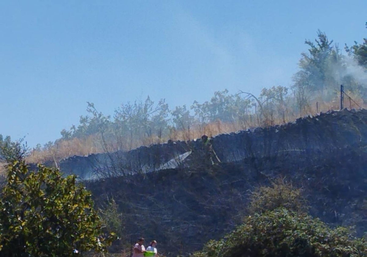 Bombero trabajando en la extinción de un incendio en las laderas del Cerro del Castillo de Aracena