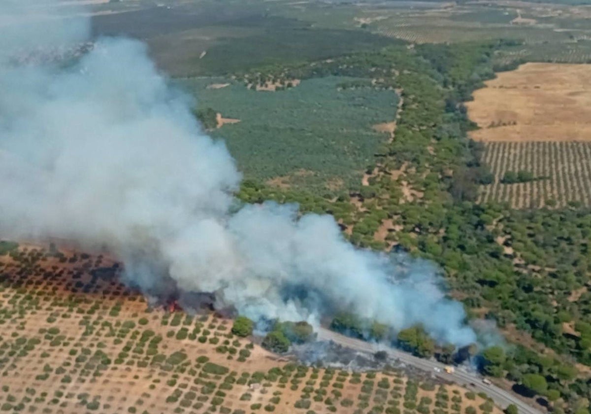 El incendio declarado en Almonte está estabilizado