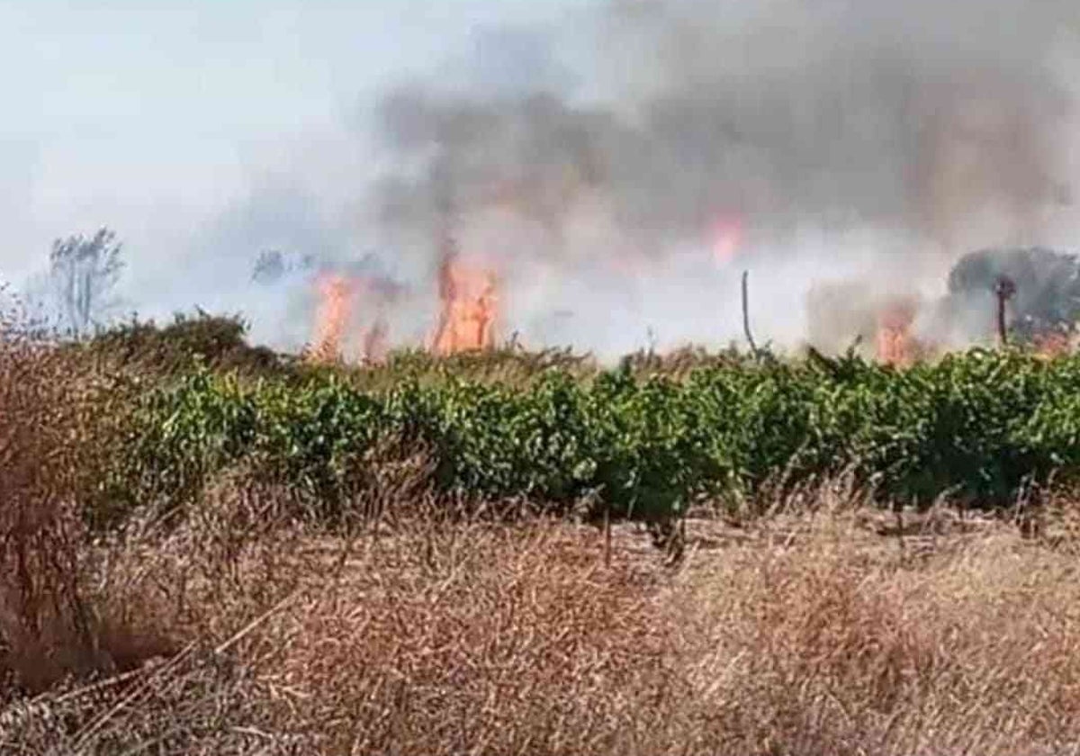 Imagen de uno de los incendios presuntamente provocados en  Bollullos