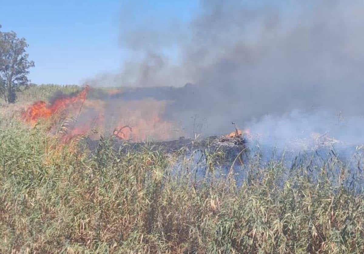 La persona que provocó el incendio se encontraba escondida detrás de unos matorrales