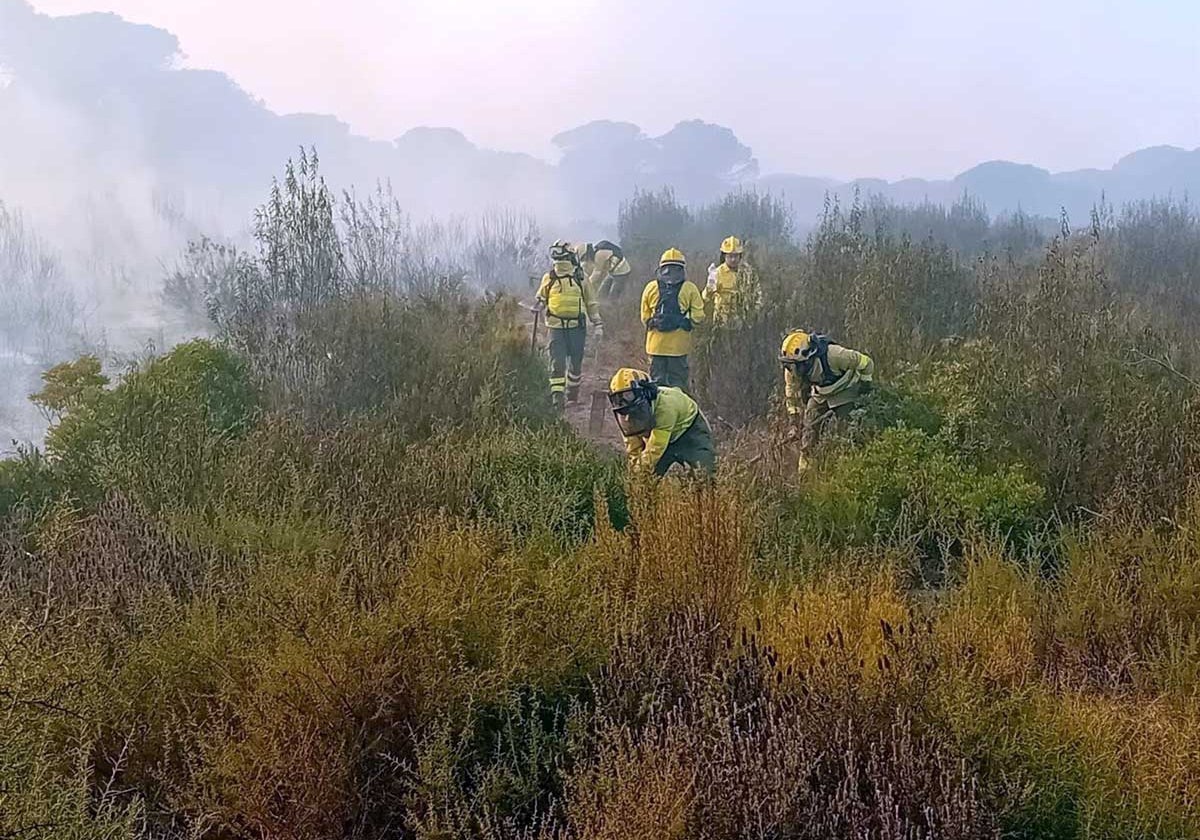 Personal de tierra del Infoca abriendo una línea de defensa en el paraje Los Llanos de Moguer