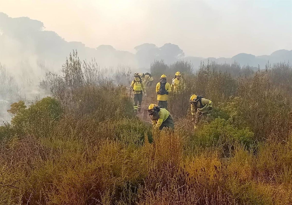 Imagen de archivo del personal de tierra abriendo una línea de defensa en el paraje Los Llanos de Moguer