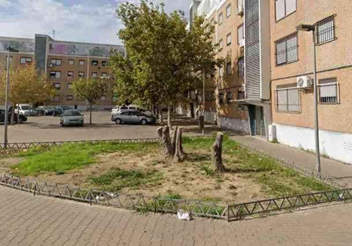 La calle Gladiolo, ubicada en la barriada del Torrejón