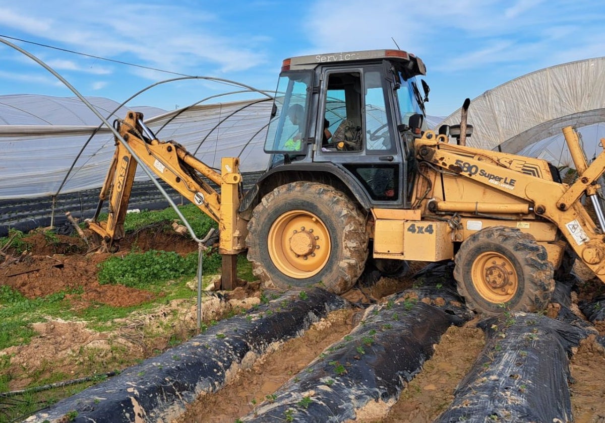 Una excavadora procediendo al cerrado de un pozo ilegal en el entorno de Doñana