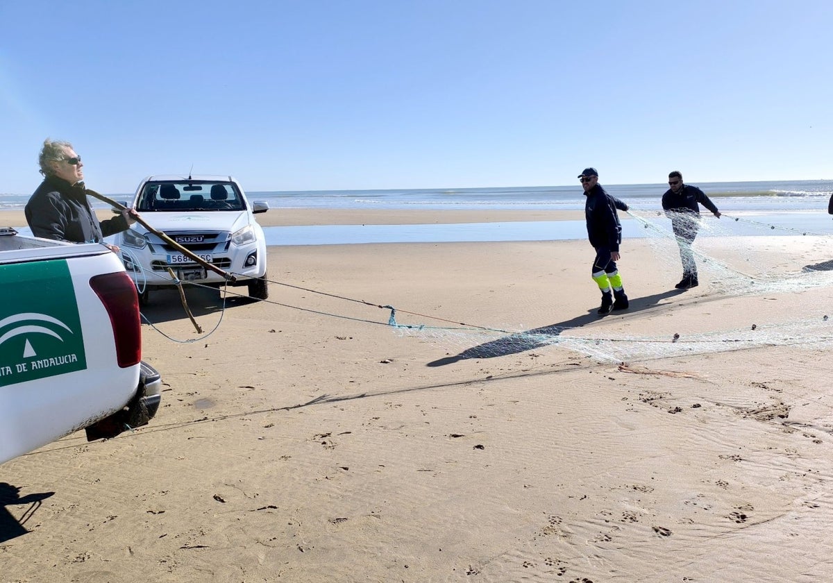 Nueva operación contra la pesca ilegal en la provincia de Huelva