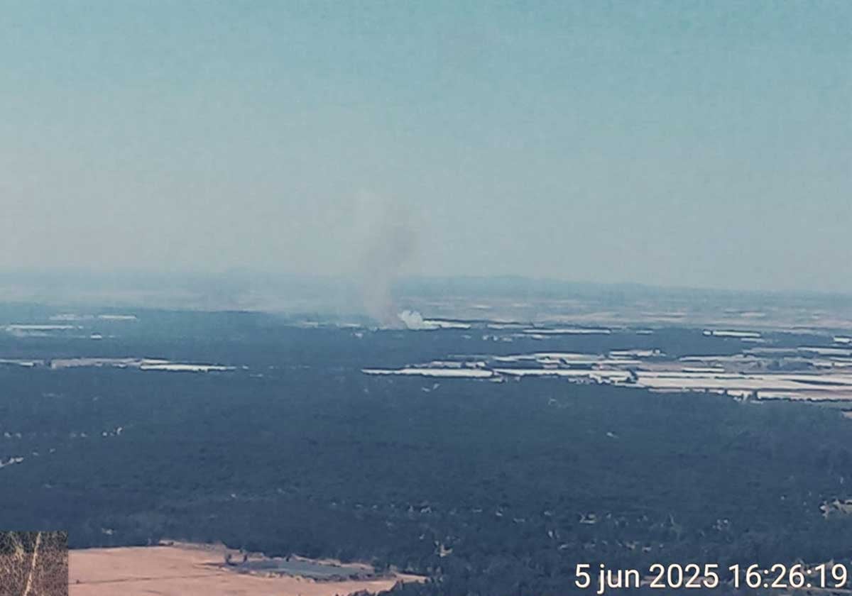 Incendio en el paraje Cañada del Sarnoso de Lucena del Puerto