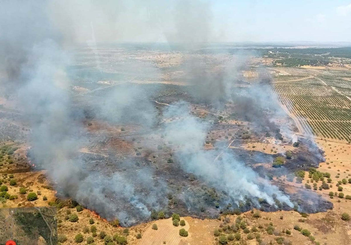 Incendio forestal en Villablanca