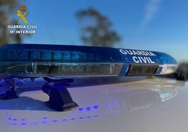 Detenidos por robar más de 150.000 euros en jamones y hasta 100.000 en bebidas alcohólicas en empresas de la provincia de Huelva