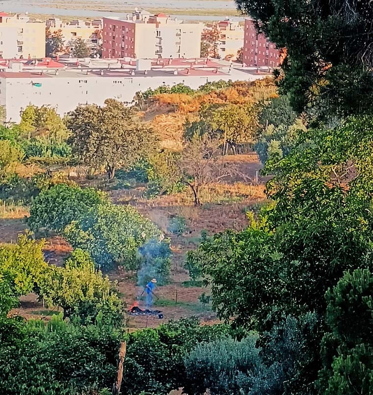 Otra de las imágenes aportadas por los vecinos