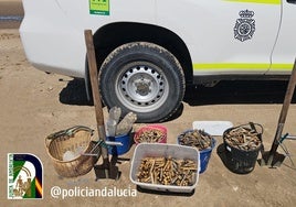 El marisco intervenido en la operación