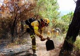 Controlado el incendio que se había declarado en un paraje de Gibraleón