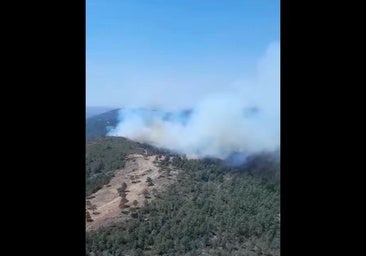 Un nuevo incendio en la sierra de Huelva moviliza a amplios medios del Plan Infoca