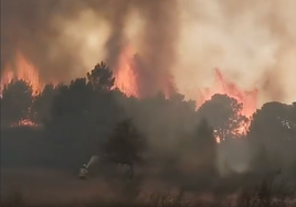 Tercera jornada de lucha contra el fuego en la sierra de Huelva en plena ola de calor