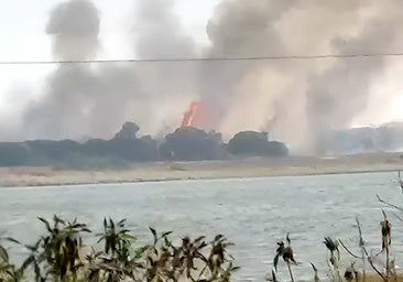 Bomberos de Huelva extinguen el incendio declarado junto a la depuradora