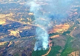Controlado el incendio del paraje 'El Corchito' de Bonares y estabilizado el de Aroche