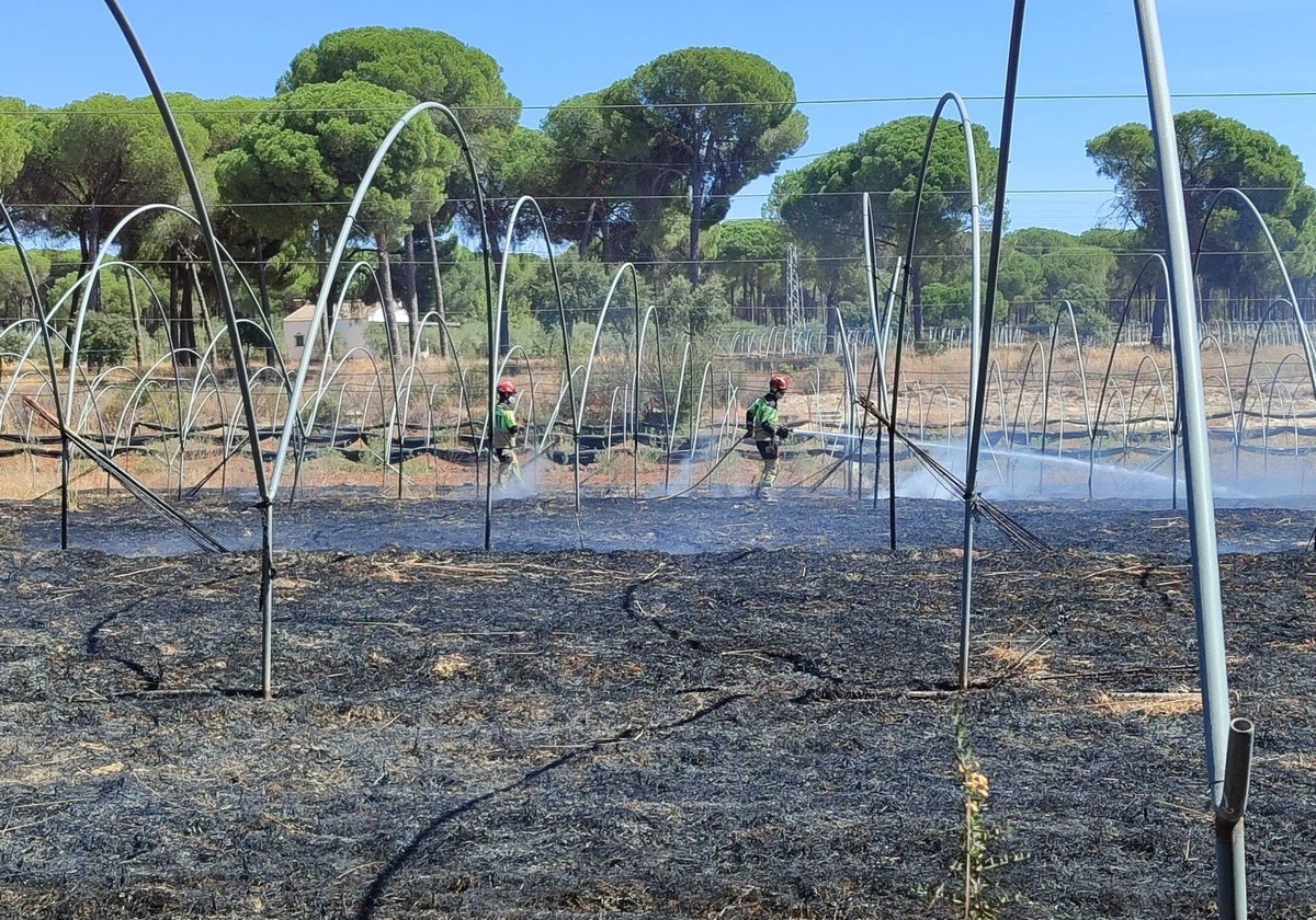 Invernaderos afectados por el incendio