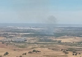 Estabilizado un incendio forestal declarado en el entorno del Rocío