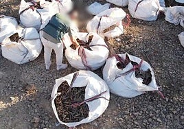 Detenidos tres hombres por el robo de 20 toneladas de material en la línea férrea Huelva-Zafra