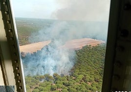 Miércoles de incendios forestales en el Condado de Huelva