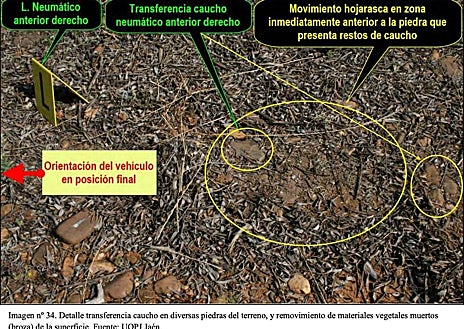 Imagen secundaria 1 - Las claves del caso de la reportera Alicia Rodríguez: ¿homicidio imprudente o crimen premeditado?