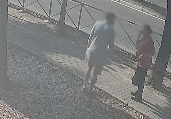 Una cámara de seguridad graba cómo un delicuente aborda a una persona mayor