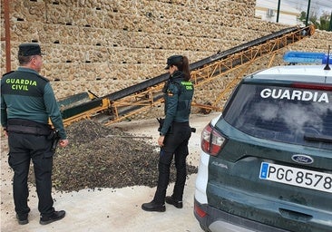 La Guardia Civil advierte en Huelva: la rebusca de la aceituna sólo está permitida con autorización
