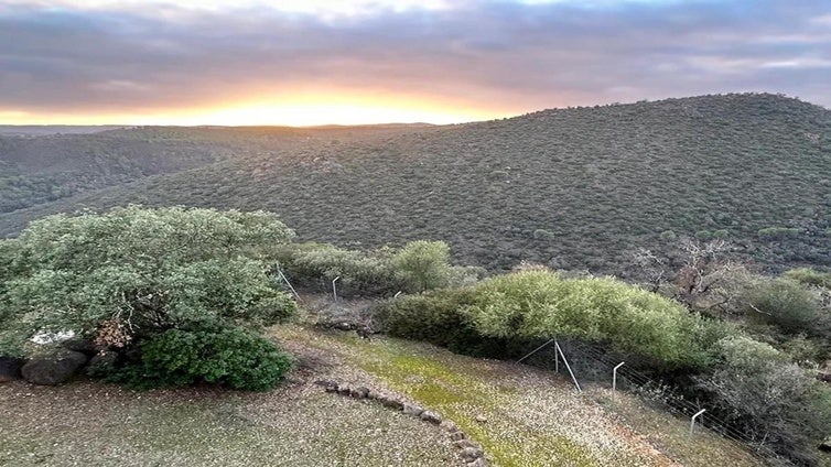 La carretera más bonita de Huelva que guarda secretos mineros: ¿Te atreves a descubrirla?