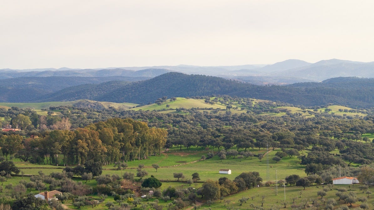 Ruta por los castañares de la Sierra de Huelva: piérdete por los pueblos con más encanto de la provincia