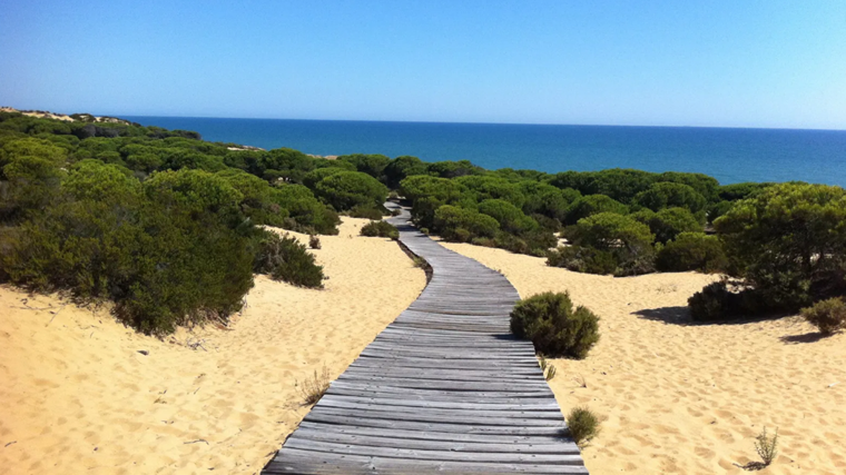 Acceso a la playa de Cuesta Maneli