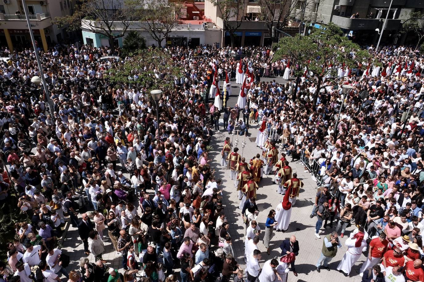 Fotos: la Borriquita ya luce en procesión en este Domingo de Ramos