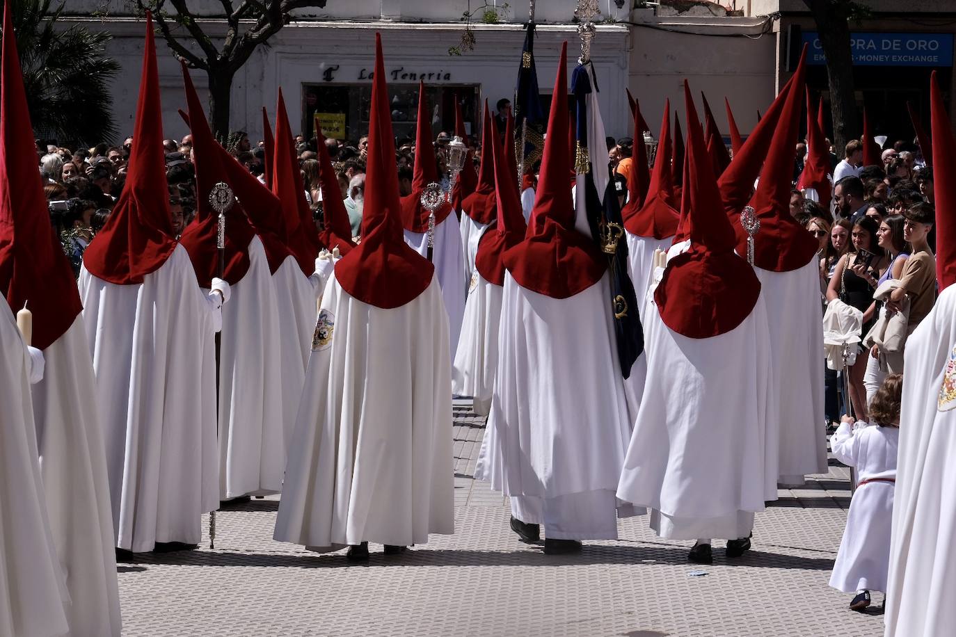 Fotos: la Borriquita ya luce en procesión en este Domingo de Ramos