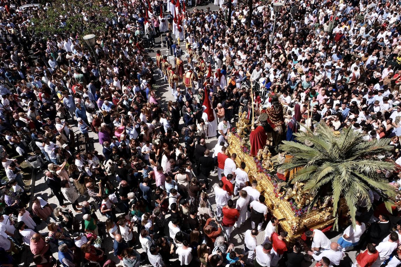 Fotos: la Borriquita ya luce en procesión en este Domingo de Ramos