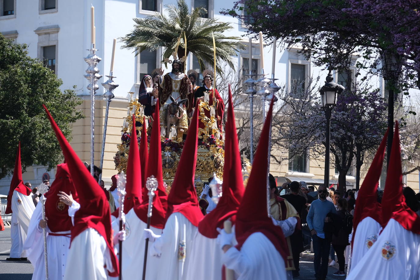 Fotos: la Borriquita ya luce en procesión en este Domingo de Ramos