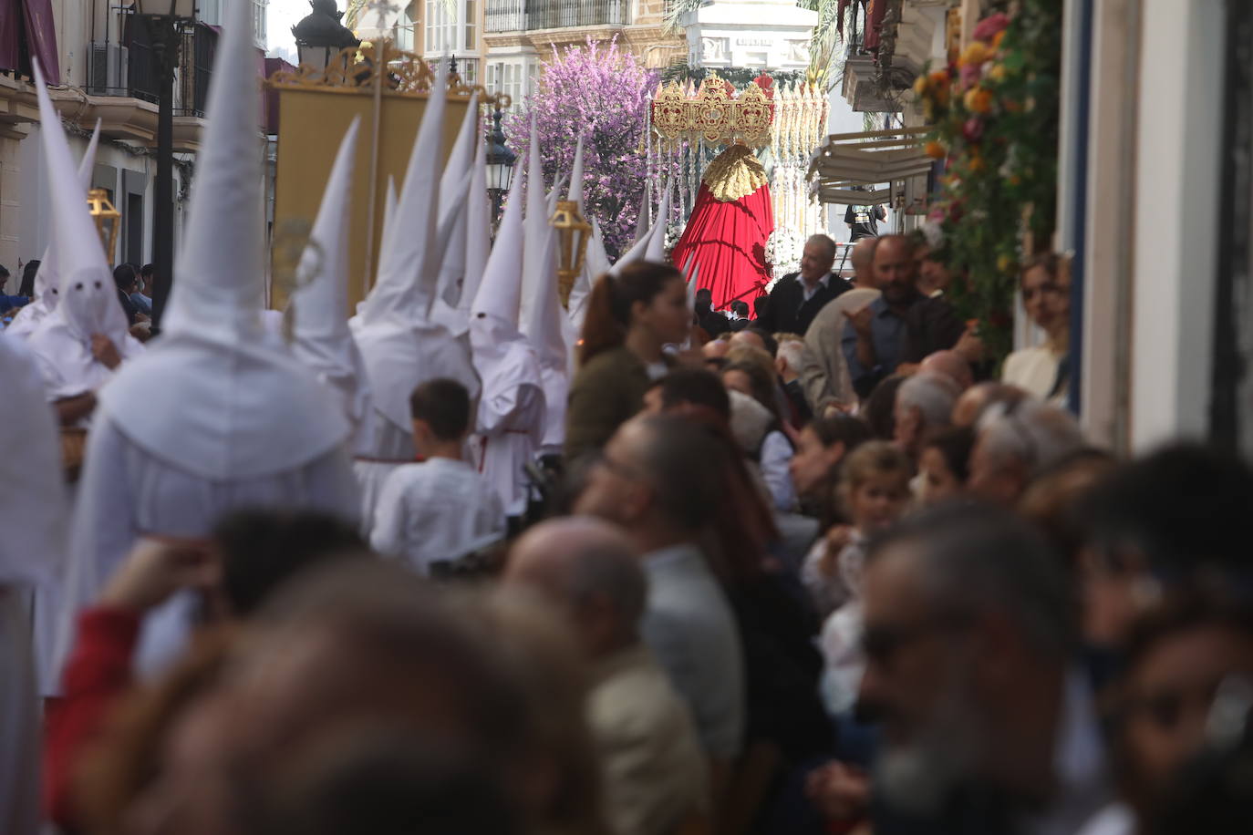 Fotos: La Sagrada Cena en su desfile del Domingo de Ramos en Cádiz