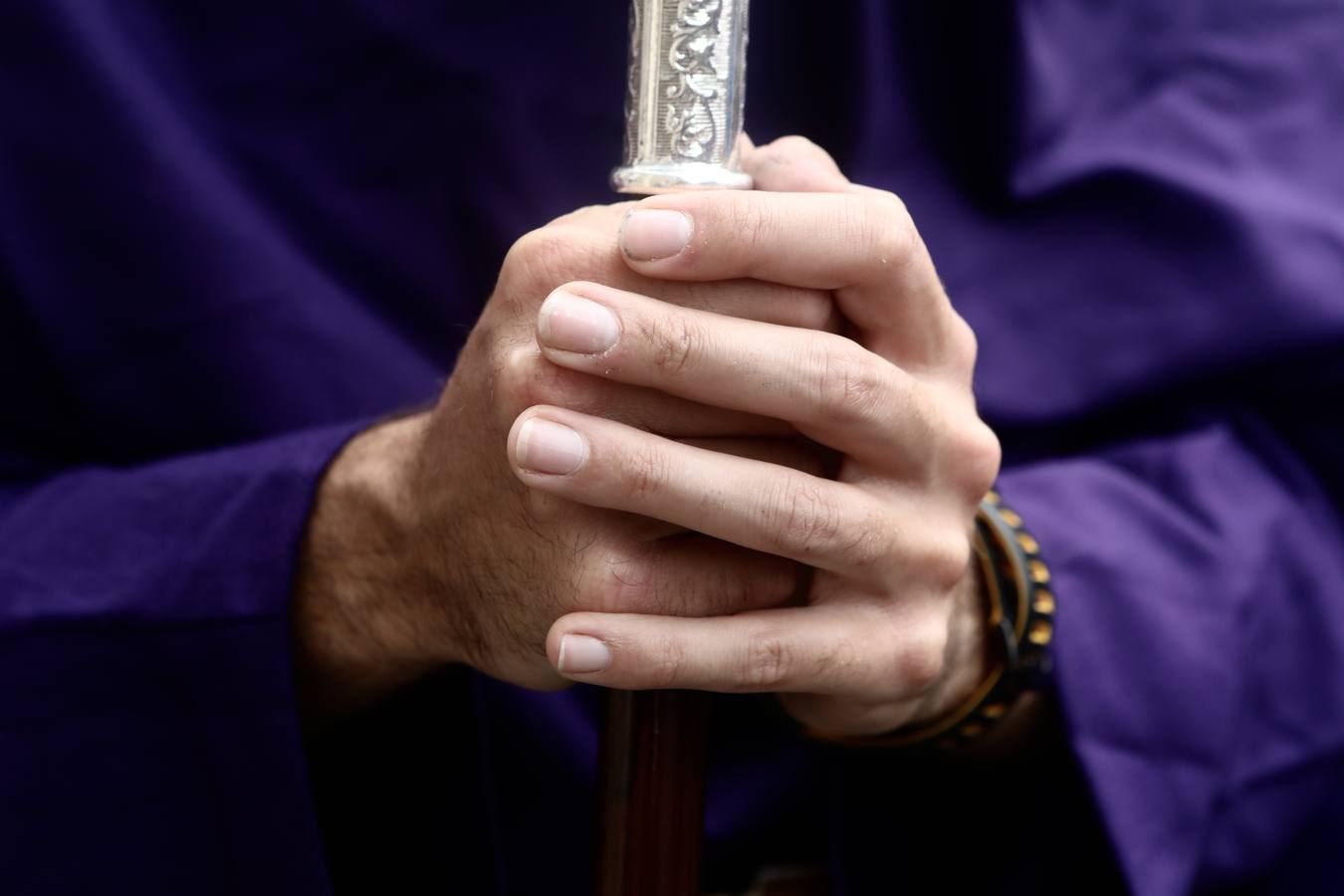 Fotos: Columna, el clasicismo de la hermandad de San Antonio